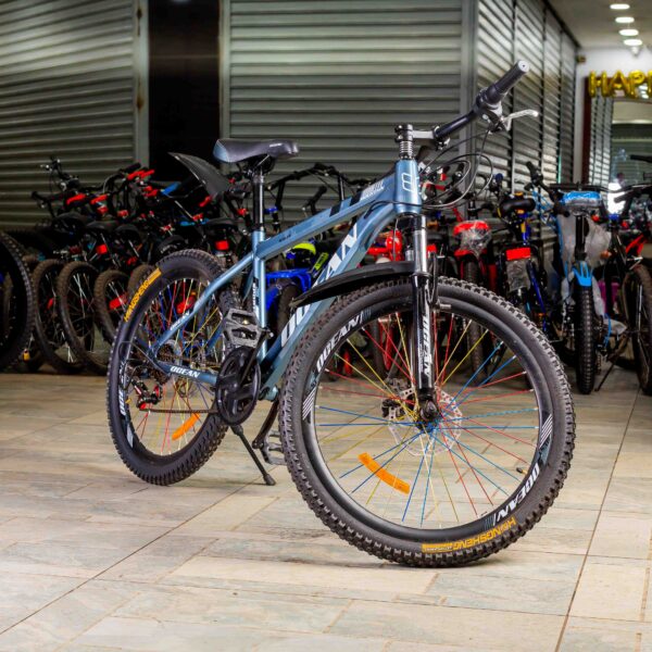 Ocean Mountain Bike Size 24 Bicycle - Image 6