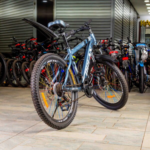 Ocean Mountain Bike Size 24 Bicycle - Image 7