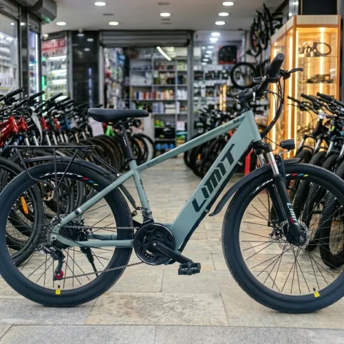[BK4810] Limit Dragon Electric Bikes