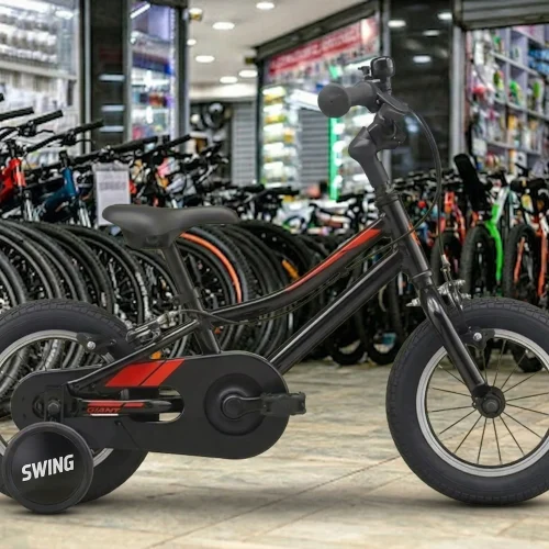 Giant Animator F/W 12 Kids Bike with Removable Training Wheels