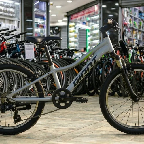 Giant XTC Jr 20 Mountain Bike with Front Suspension