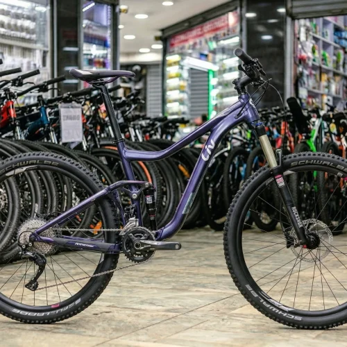 Giant Liv Intrigue 29 2 Women's Mountain Bike with ALUXX SL Frame