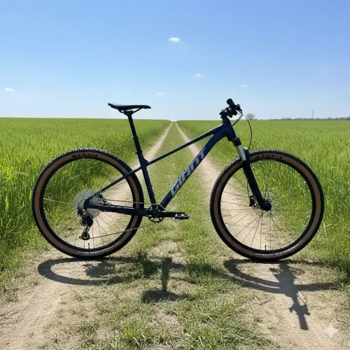 Giant Talon 0 2025 29-Inch Mountain Bike with ALUXX Aluminum Frame