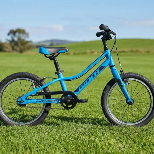 Giant ARX 16-Inch Kids Bike with Lightweight Aluminum Frame