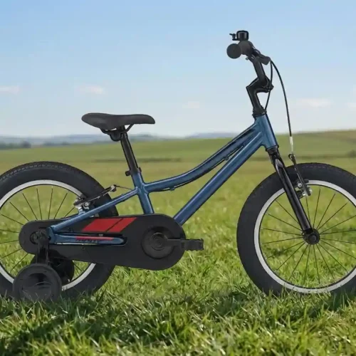 Giant Animator Kids Bike 16-Inch with Training Wheels