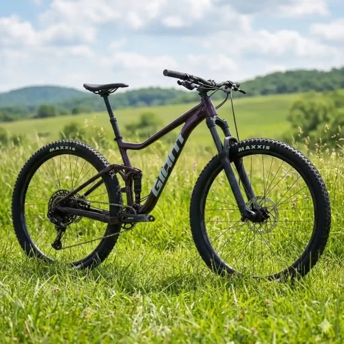 Giant Stance 1 29 Mountain Bike with Suspension Fork