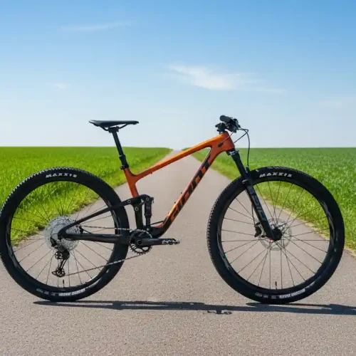 Giant Anthem Advanced Pro 29 3