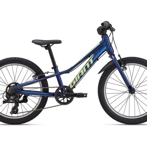 Giant Talon 20 Lite Kids Mountain Bike with ALUXX Aluminum Frame