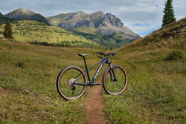 Giant Talon 0 2025 29-Inch Mountain Bike with ALUXX Aluminum Frame