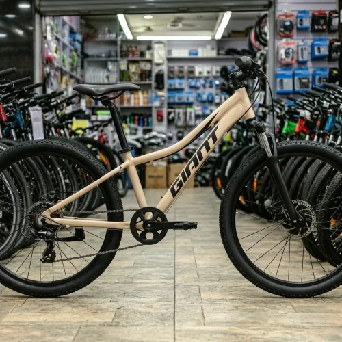 Giant XTC Jr Disc 24 Mountain Bike with Disc Brakes