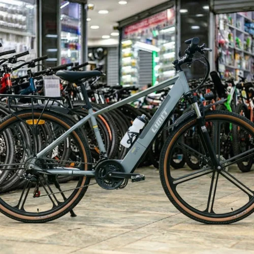 Limit Horse Electric Bike with Fat Tires and Dual Suspension