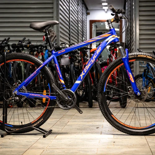 X Bicycle 29-Inch Mountain Bike with Suspension Fork - Blue