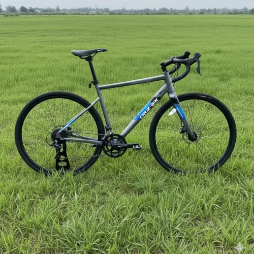 Cruztrek Booster Gravel Bike 700C with Shimano Sora Drivetrain