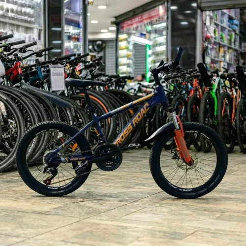 Crossroad Gears Mountain Bike 20-Inch with Dual Suspension