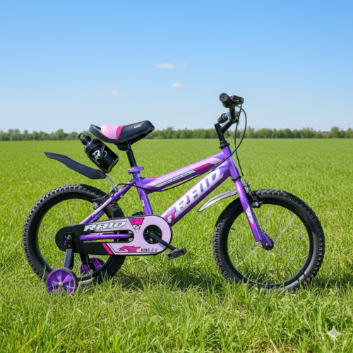 RAID Kids Bike 16-Inch with Training Wheels (Purple)