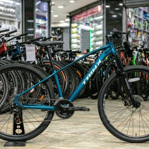 Trinx X1 Pro Mountain Bike 29-Inch with Disc Brakes