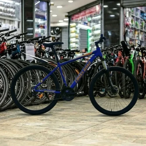 Crossroad 26-Inch Dual-Suspension Mountain Bike with Disc Brakes