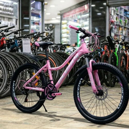 Ocean Bike 24-Inch with Gear and Mechanical Disc Brakes
