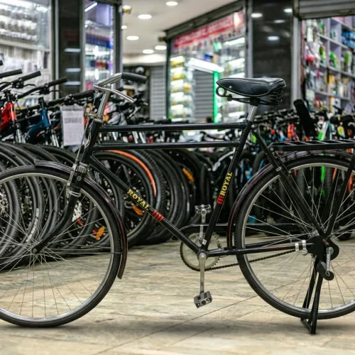 Royal Classic Roadster Bicycle with 26-Inch Wheels