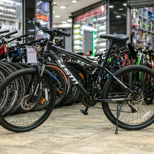 GM 001 Bike Size 24 with Front Suspension and Disc Brakes