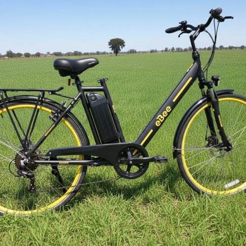 Nyuki 2.0 Electric Bike with Pedal Assist and Throttle Modes