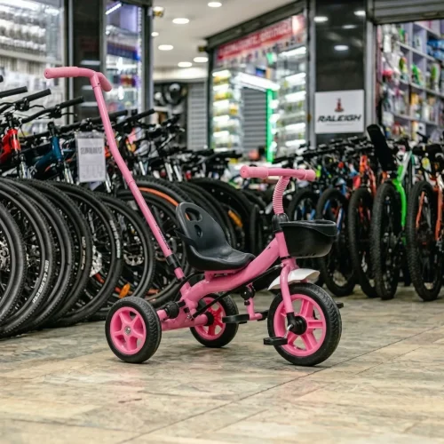 Swing Kids Learning Tricycle with Backrest & Push Bar