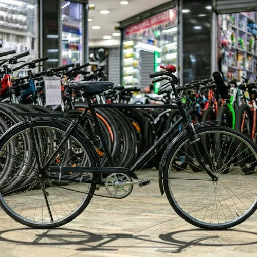 RAJA Black Mamba Classic Roadster Bicycle