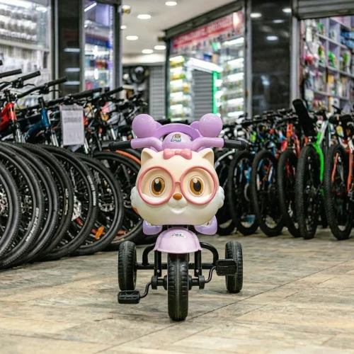 Cuddly Kitty Cruiser Kid Bike with Owl Design