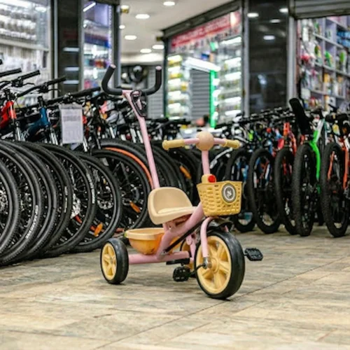 Raleigh Little Cruiser Tricycle with Rear Storage