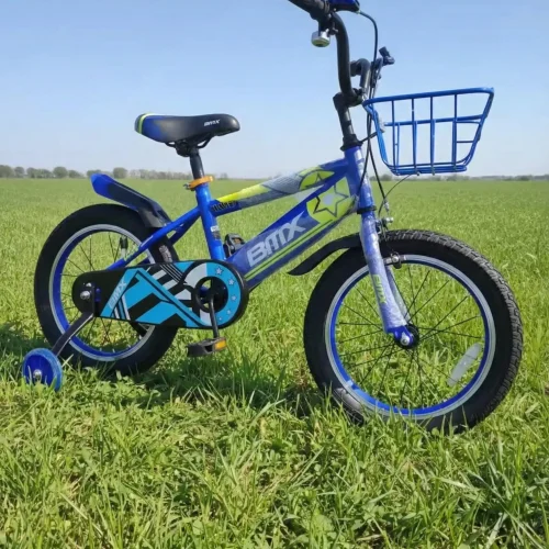 Sky Rider Explorer Kids' Bike 16-Inch with Training Wheels