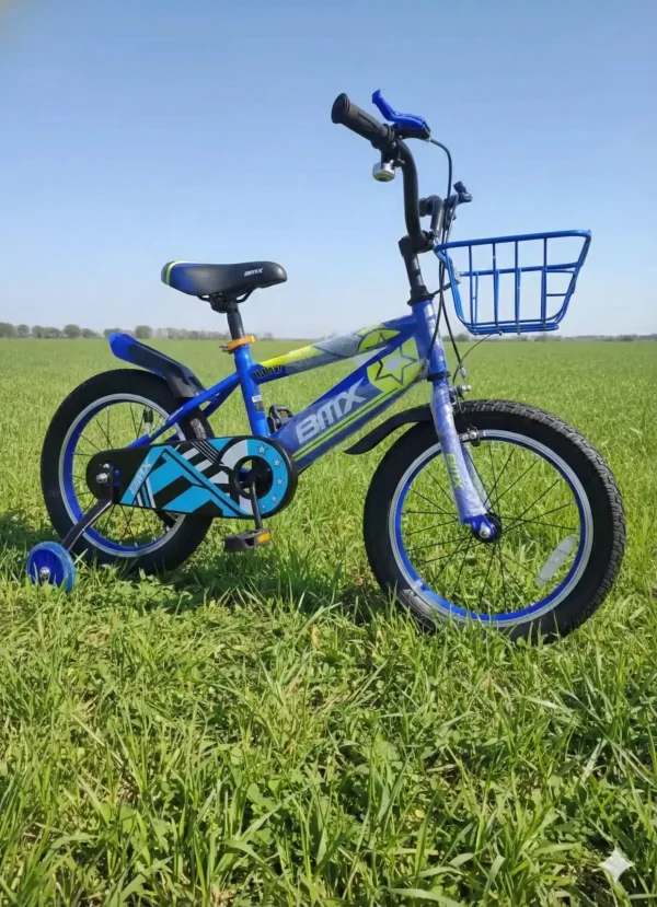 Sky Rider Explorer Kids' Bike 16-Inch