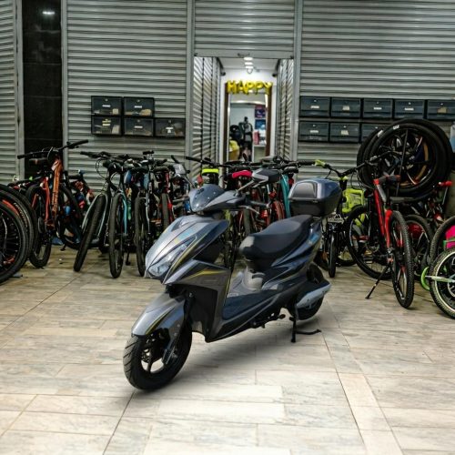 ZY 2.0 Move Electric Scooter for Adults