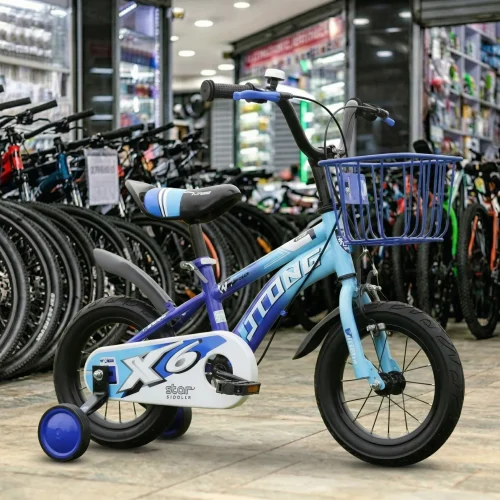 Jingang X6 Sport 16-Inch Kids Bicycle with Removable Training Wheels