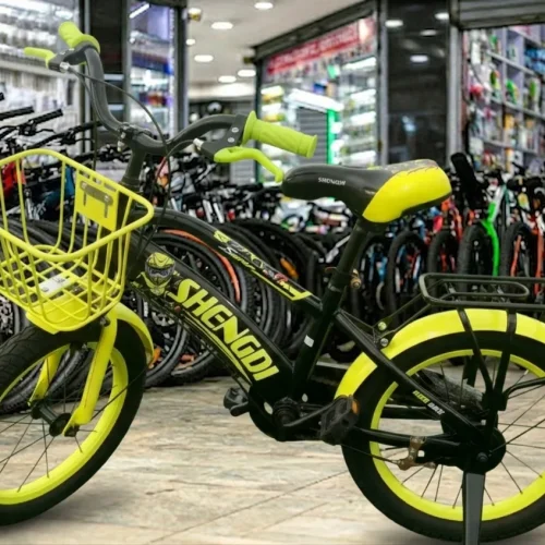 Shengdi 16-Inch Kids Bicycle with Training Wheels and Front Basket