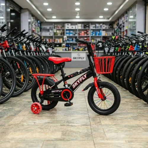 Skyfly BMX Kids Bicycle 12-Inch with Adjustable Design