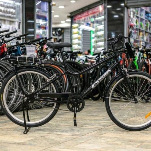 Buffalo Utility S2 Bicycle