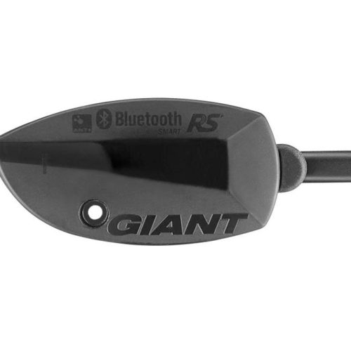 Giant Ridesense