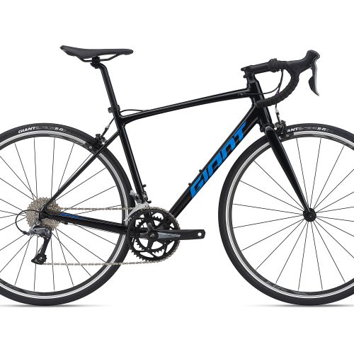 Giant Contend 3