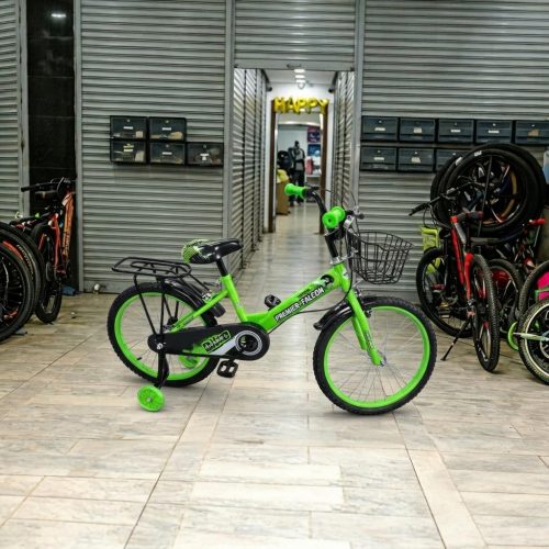 Premier Falcon BMX Bicycle 20" with Training Wheels, Front Basket & Rear Cargo Rack (Green/Black, Kids Bike)