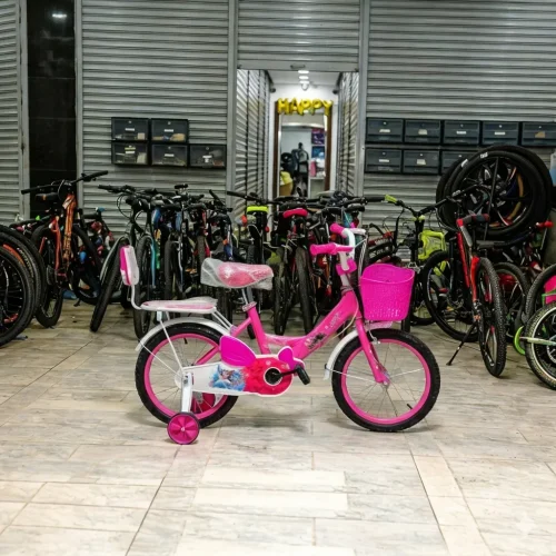 Frozen-Themed 16-Inch Girls' Bicycle with Training Wheels (4-7 Years)
