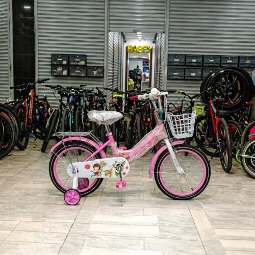 BMX Beijing 16-Inch Girls Bike with Training Wheels & Front Basket
