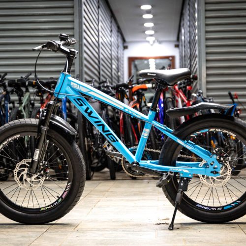 GT Swing Super Fatbike 20-Inch with Fat Tires for Kids Ages 7-11