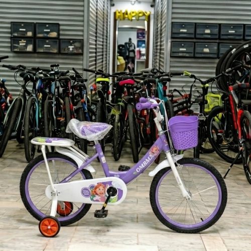 OM BMX 20-Inch Kids Bicycle